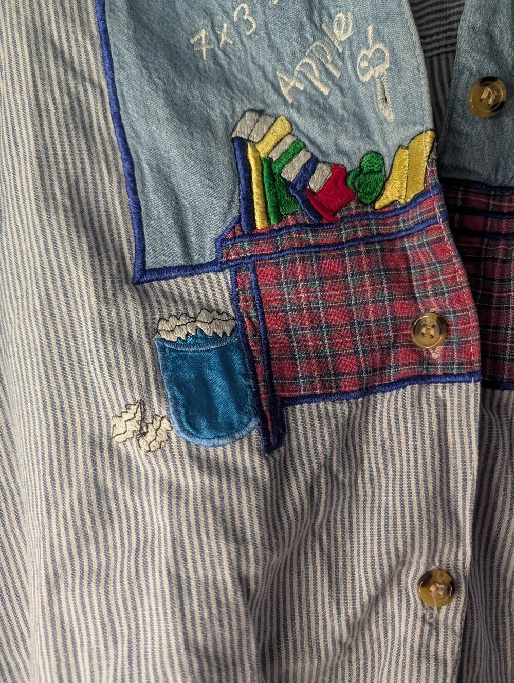Vintage Casey & Max Women’s Large Teacher School Embroidered Button Shirt Apple